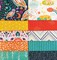 Jessica Swift Color Master Fat Quarter Bundle by Jessica Swift for Art Gallery (CB-DFQ210)